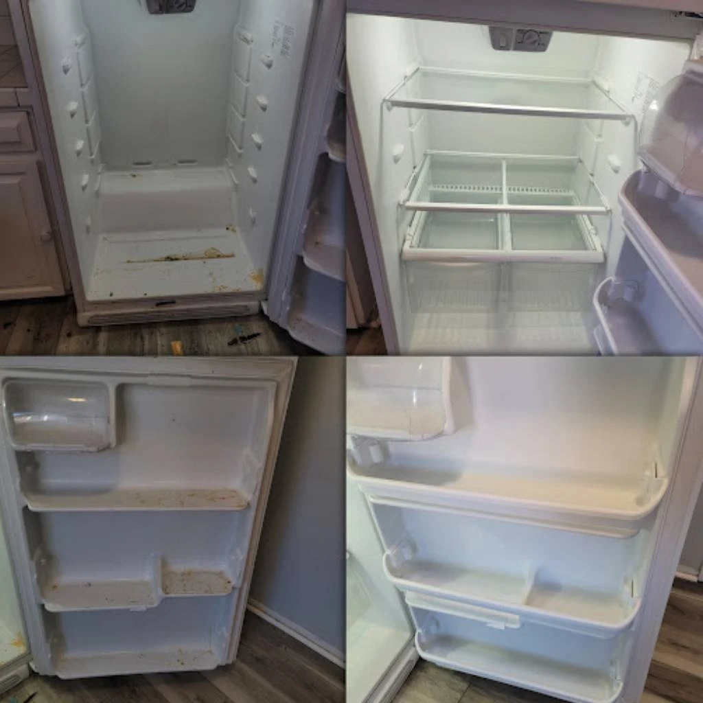 before and after refrigerator cleaning